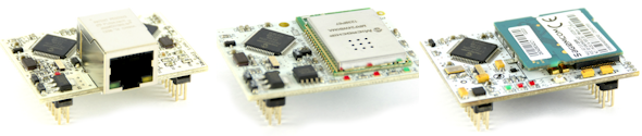 Moduli Flyport